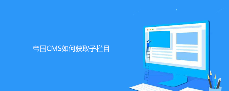 帝国CMS网站开发过程中如何获取子栏目信息